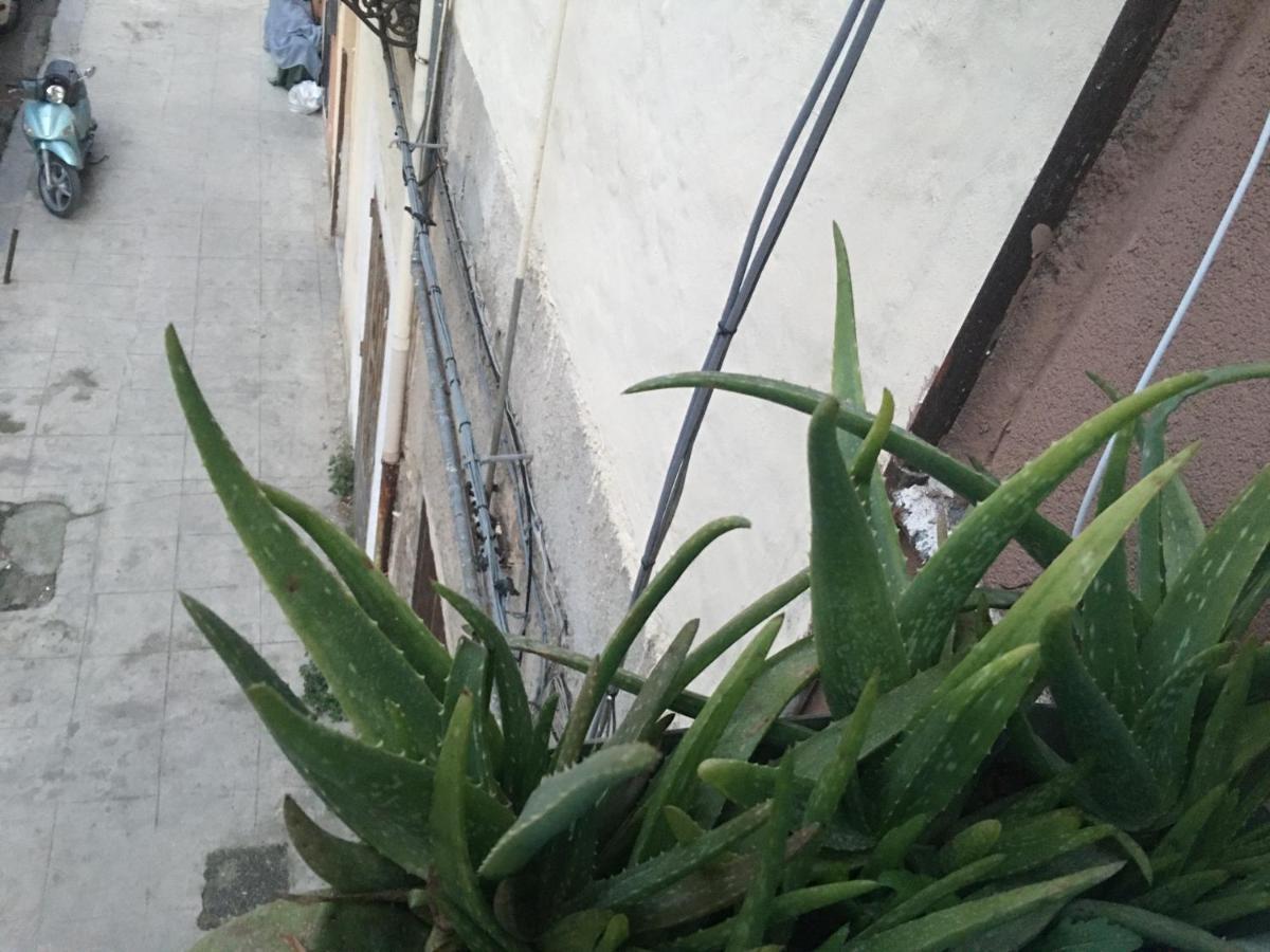 Bilocale Serpotta Di Mary& Gio Apartment Palermo Ngoại thất bức ảnh